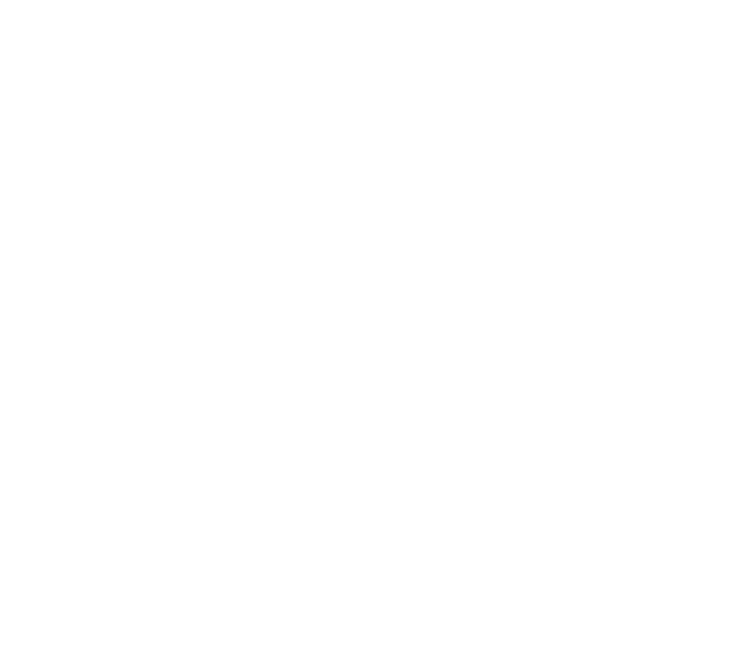 Creantum Security Solutions logo